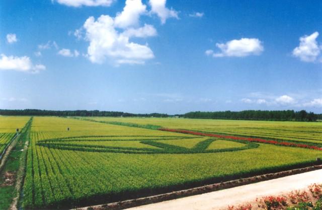 6686体育(中国)官方网站中国的农场有哪些中国十大最美农场(图10)